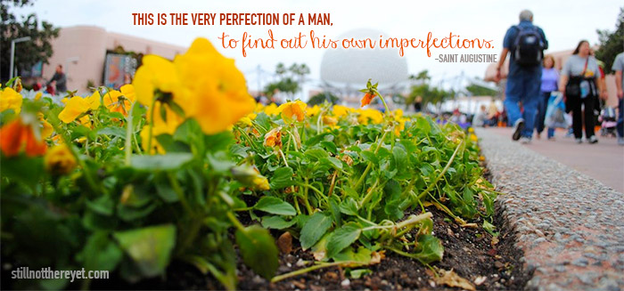 This is the very perfection of man, to find out his own imperfections. - St. Augustine