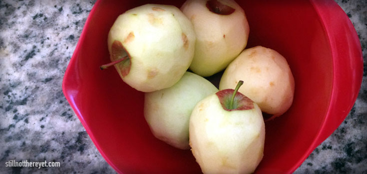 Braided Fruit Danish - Apples